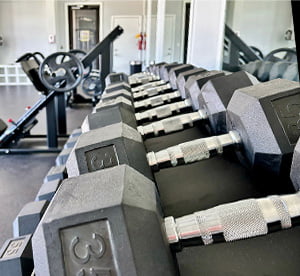 Weights at a fitness center